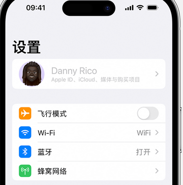 汤阴appleID维修服务iPhone设置中Apple ID显示为灰色无法使用