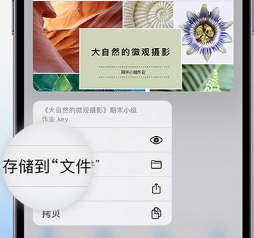 汤阴apple维修中心分享iPhone文件应用中存储和找到下载文件