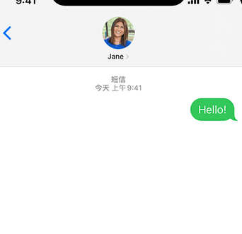 汤阴apple维修iPhone上无法正常发送iMessage信息