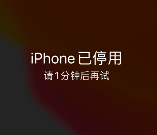 汤阴苹果手机维修分享:iPhone 显示“不可用”或“已停用”怎么办？还能保留数据吗？ 