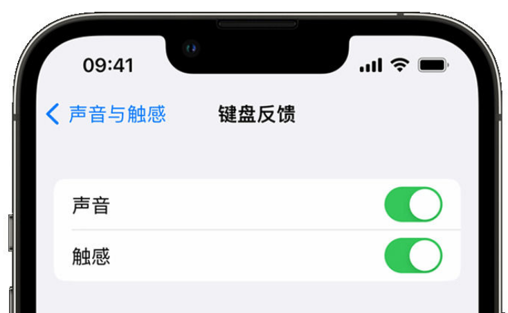 汤阴苹果手机维修分享iPhone 14触感键盘使用方法 