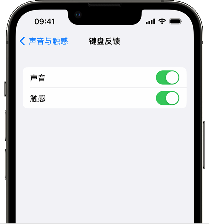 汤阴苹果14维修店分享如何在 iPhone 14 机型中使用触感键盘 