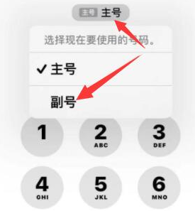 汤阴苹果14维修店分享iPhone 14 Pro Max使用副卡打电话的方法 