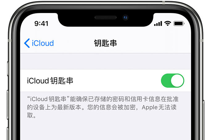 汤阴苹果手机维修分享在 iPhone 上开启 iCloud 钥匙串之后会储存哪些信息 