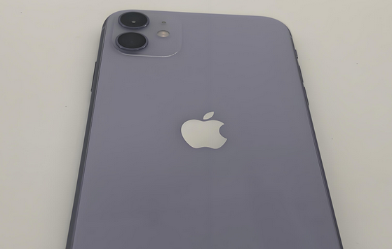 汤阴苹果11系统维修分享iPhone11手机系统崩溃无法开机如何解决 